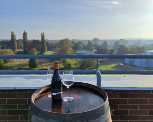 547581523_upscayl_4x_ultrasharp-4x